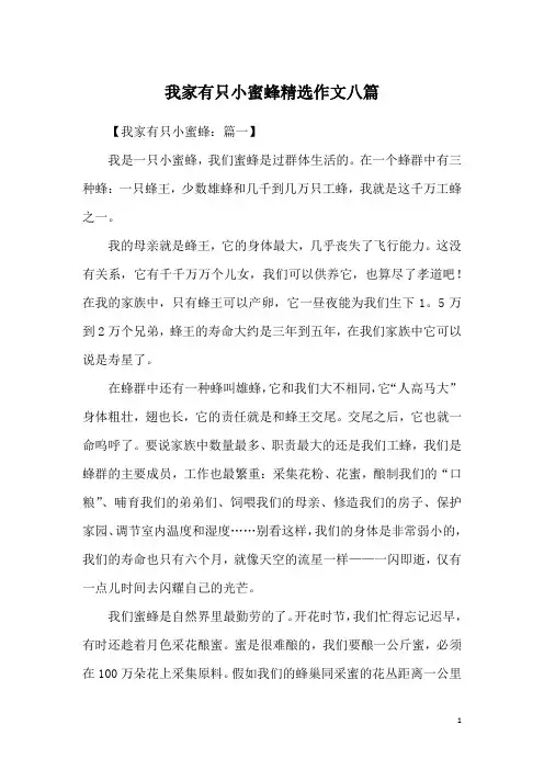 我家有只小蜜蜂精选作文八篇