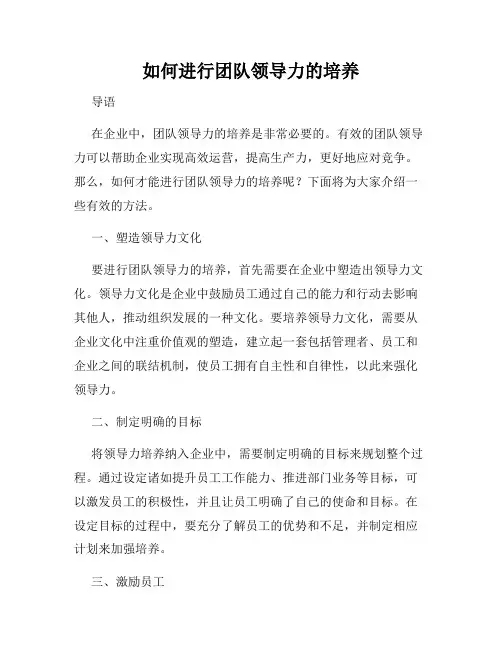 如何进行团队领导力的培养