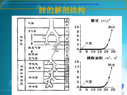 呼吸系统疾病总论课件
