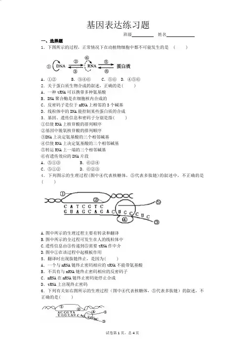(完整版)基因表达练习题
