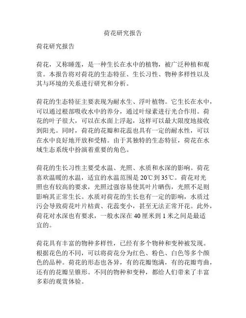 荷花研究报告