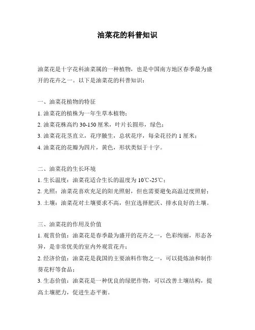 油菜花的科普知识