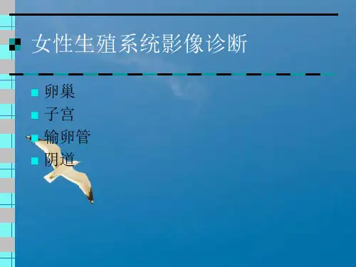 女性生殖系统影像诊断ppt课件