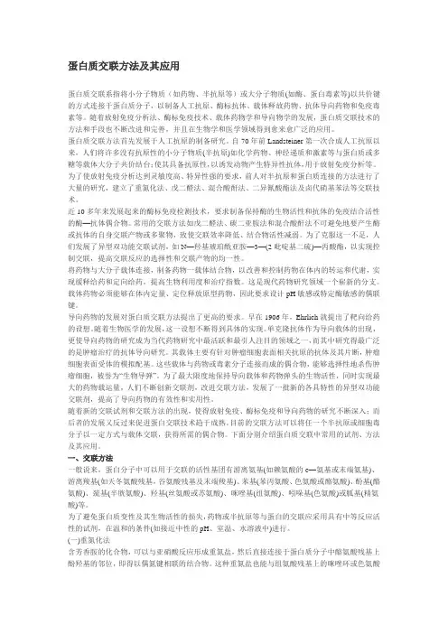 蛋白交联
