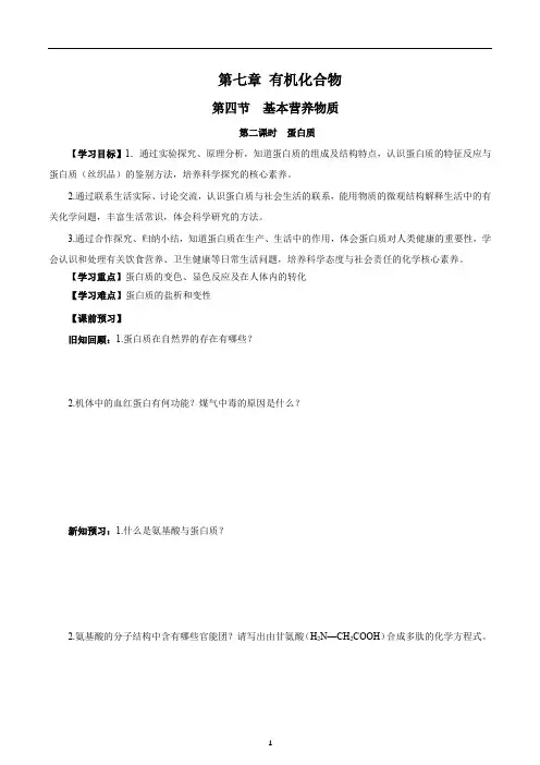 《7.4.2  蛋白质》导学案