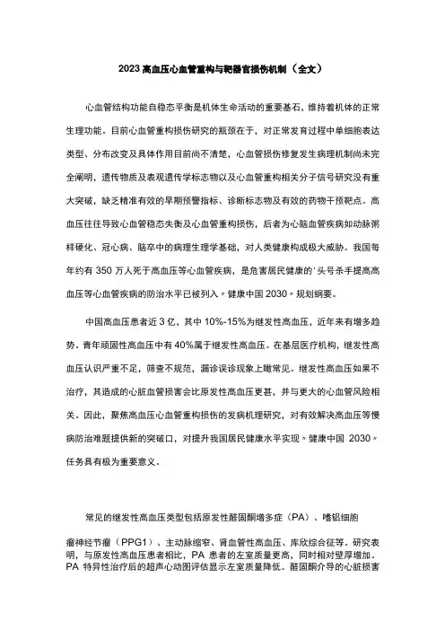 2023高血压心血管重构与靶器官损伤机制(全文)