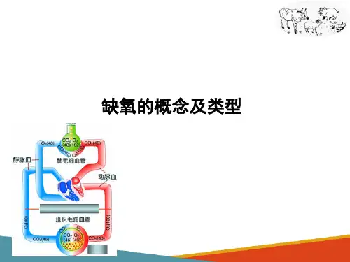 缺氧(动物病理学课件)