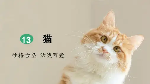 部编版四年级语文下册第13课《猫》精美课件(统编)