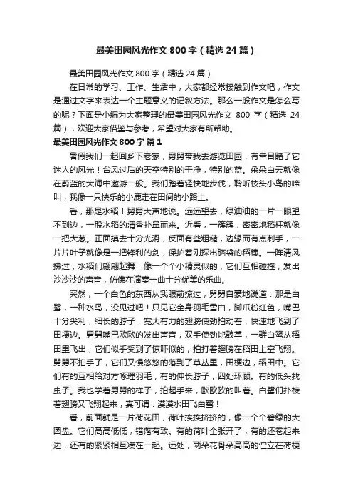 最美田园风光作文800字（精选24篇）