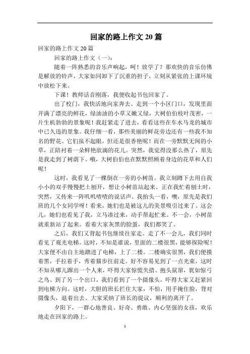 回家的路上作文20篇