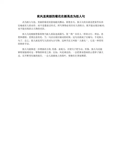 秋风里美丽的菊花在摇晃改为拟人句