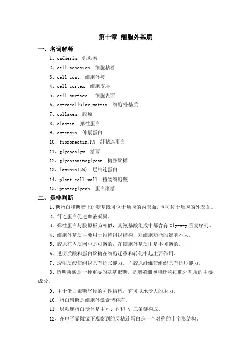 细胞外基质——精选推荐