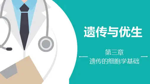 《遗传与优生》第三章遗传的细胞学基础