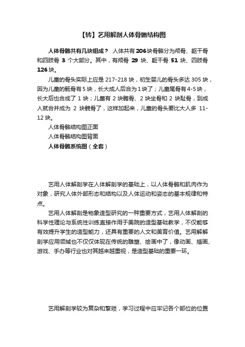 【转】艺用解剖人体骨骼结构图