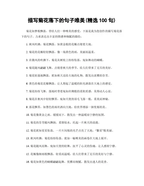 描写菊花落下的句子唯美(精选100句)