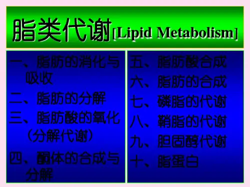 复旦大学生化脂肪代谢