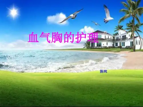 血气胸的护理PPT课件