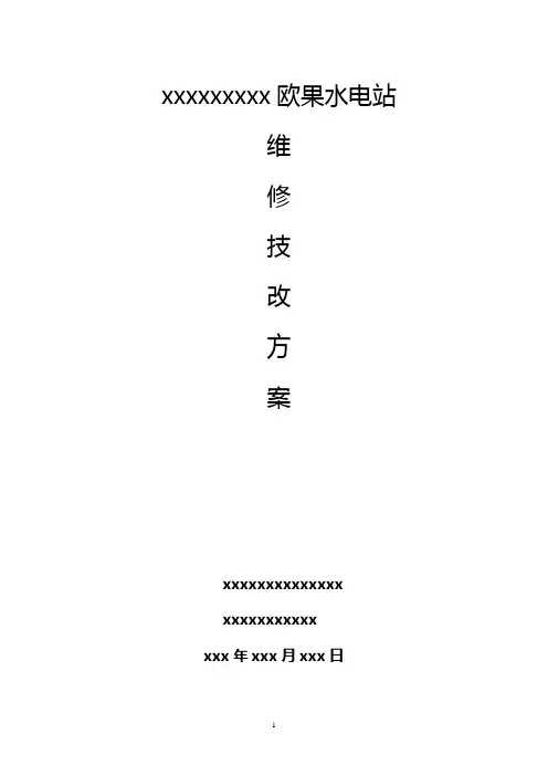 欧果电站技术改造 2