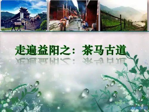 走遍益阳之茶马古道