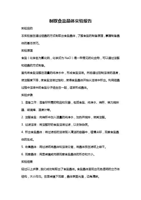 制取食盐晶体实验报告