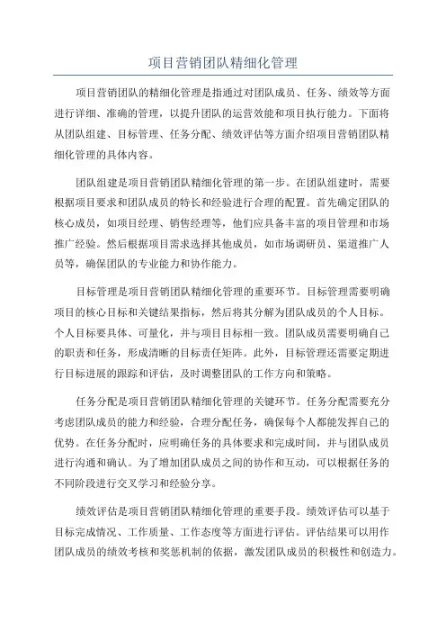 项目营销团队精细化管理