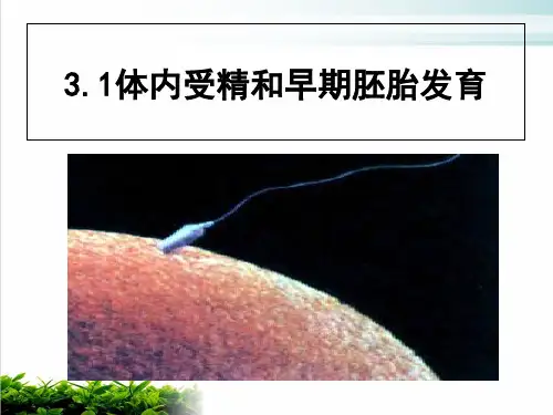 【新教材】人教版高中生物体内受精和早期胚胎发育PPT完美课件1