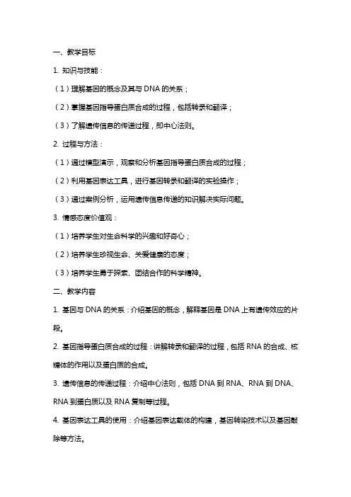 基因指导蛋白质的合成教学设计教案
