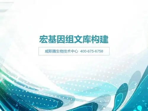 宏基因组文库构建