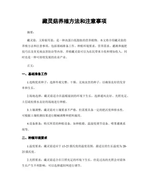 藏灵菇养殖方法和注意事项