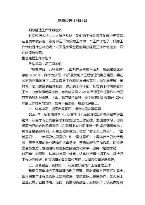 副总经理工作计划范文