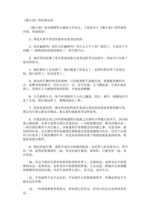 《最小说》的经典语录