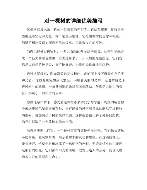 对一棵树的详细优美描写