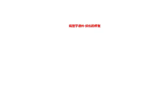 病理学课件-损伤的修复