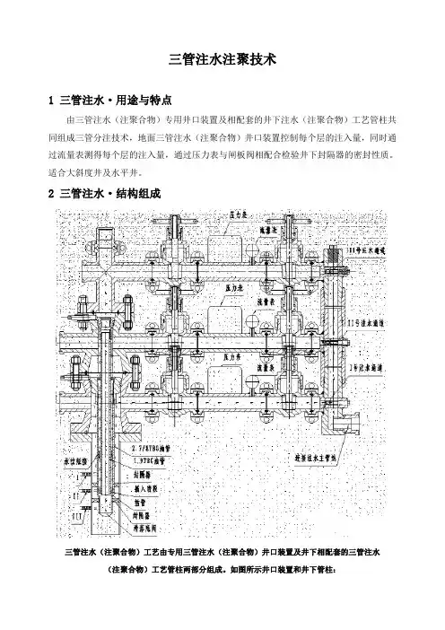 石油工程技术   井下作业    三管注水注聚技术