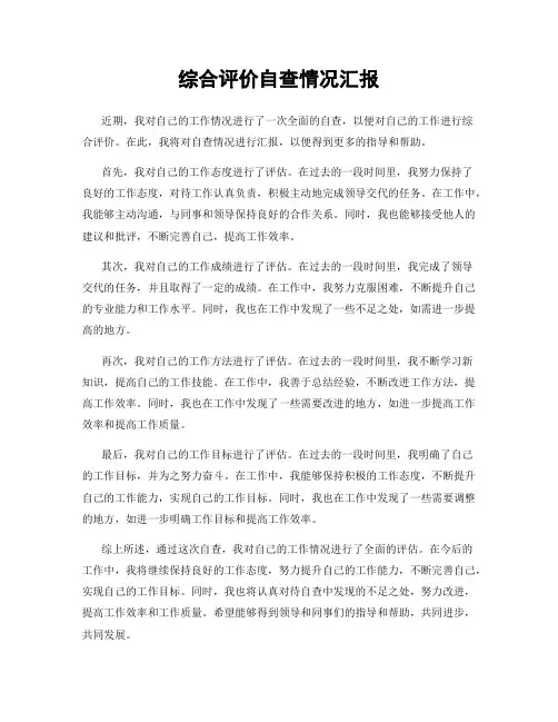 综合评价自查情况汇报
