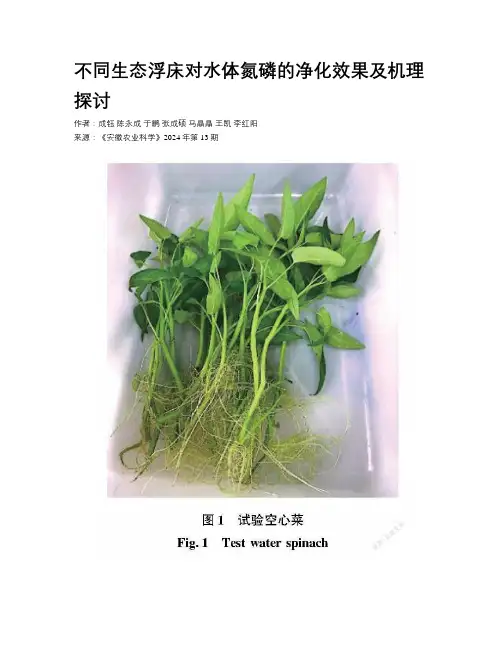 不同生态浮床对水体氮磷的净化效果及机理探讨