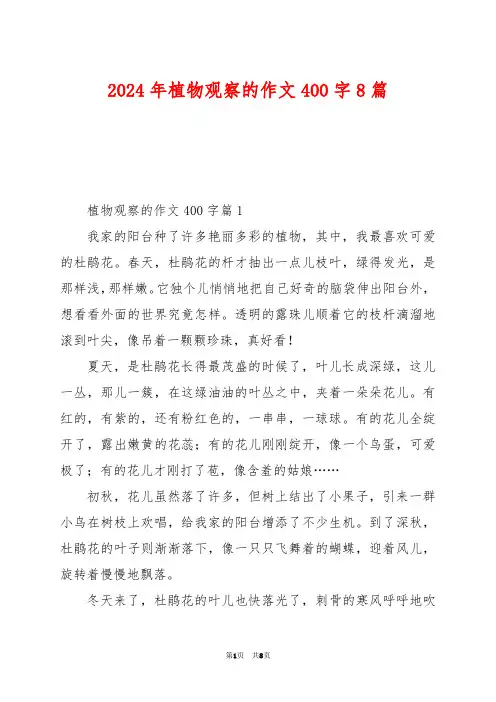 2024年植物观察的作文400字8篇