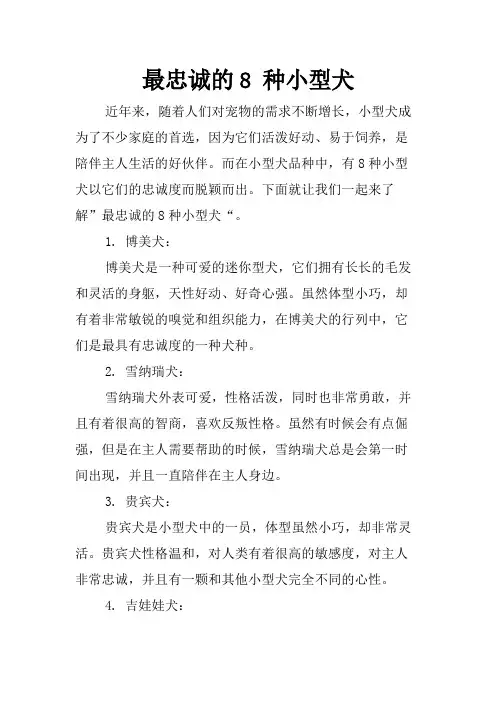 最忠诚的8 种小型犬