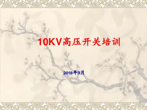 10KV高压开关柜操作(培训)PPT课件