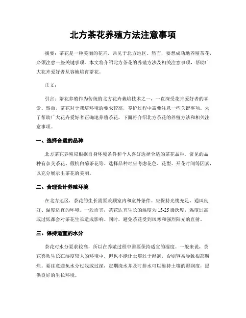 北方茶花养殖方法注意事项