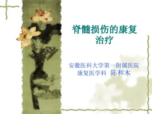 脊髓损伤的康复治疗精品PPT课件