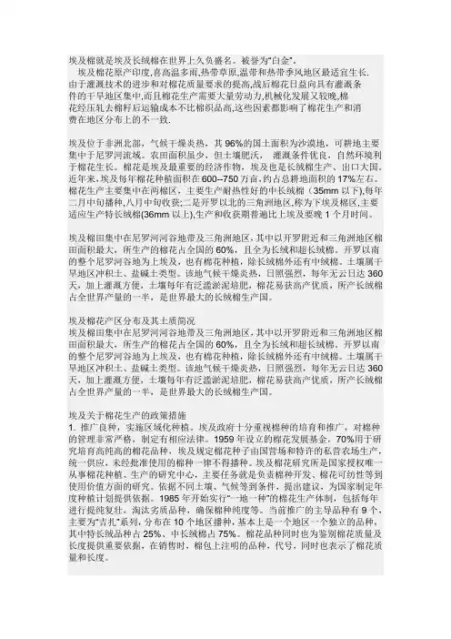 埃及棉介绍