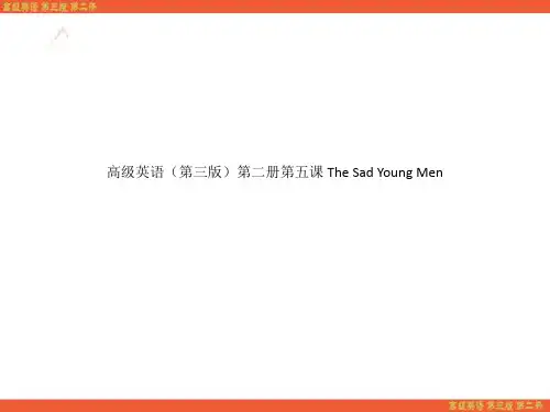 高级英语(第三版)第二册第五课 The Sad Young Men