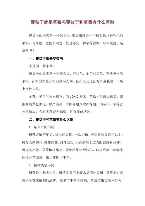 覆盆子就是草莓吗 覆盆子和草莓有什么区别