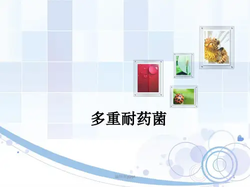 多重耐药菌ppt课件