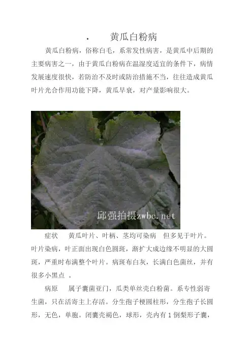 黄瓜病虫害防治图谱大全.