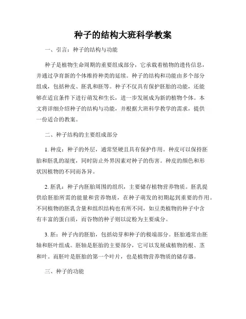 种子的结构大班科学教案