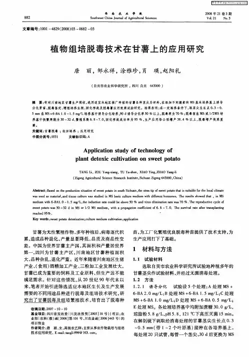 植物组培脱毒技术在甘薯上的应用研究
