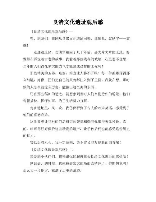 良渚文化遗址观后感