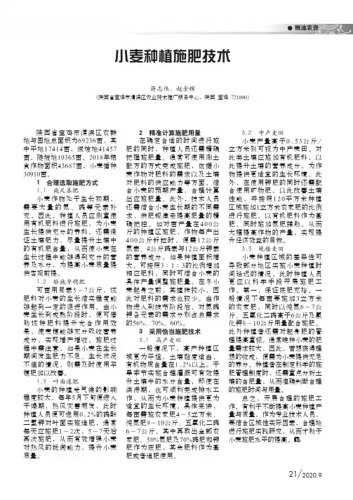小麦种植施肥技术